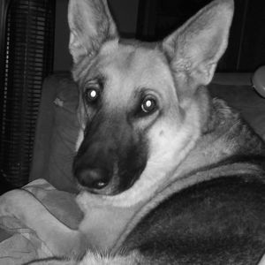 Meet your Posher, Lynn